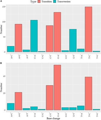 Mitochondrial DNA Mutation Analysis in Breast Cancer: Shifting From Germline Heteroplasmy Toward Homoplasmy in Tumors